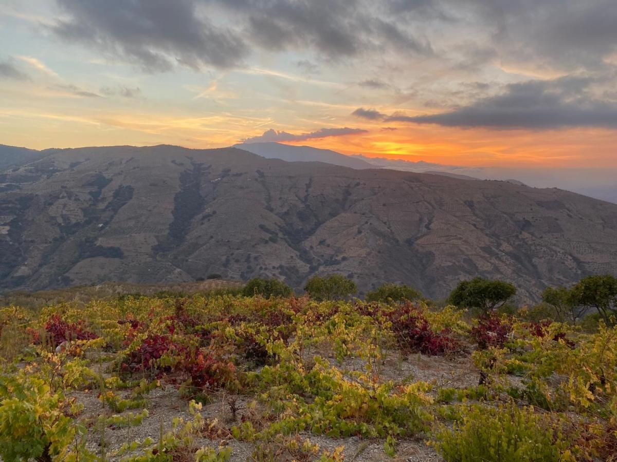 Torviscón Casa Rural Cerezo מראה חיצוני תמונה